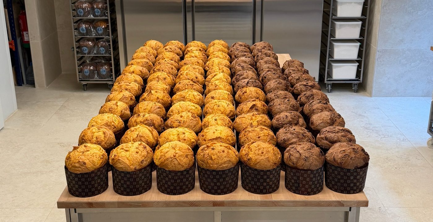 Hornada de panettones clásicos y de chocolate recién salidos