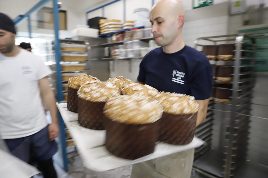 Bandeja de panettones en el horno